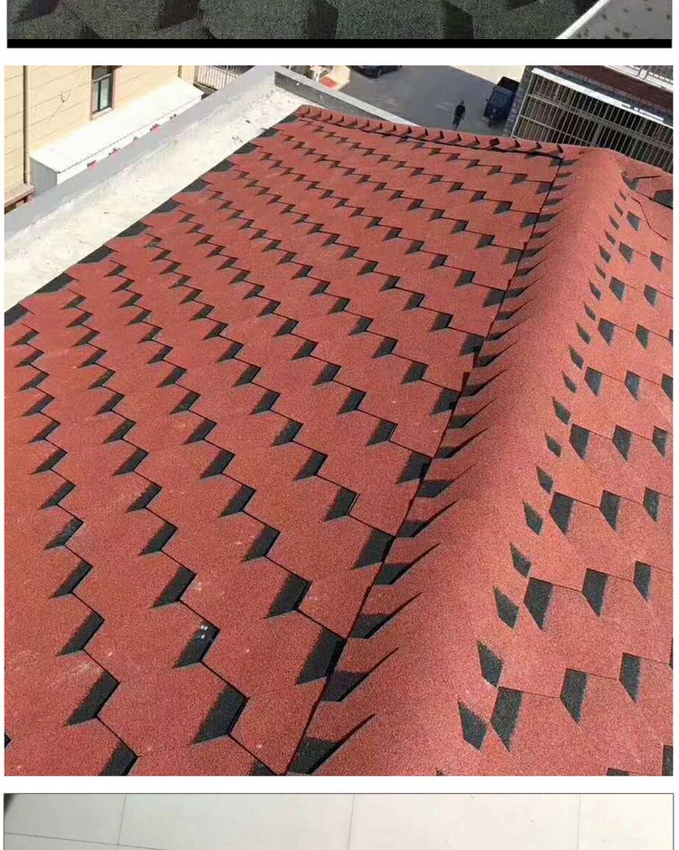 体育馆屋面瓦应用案例