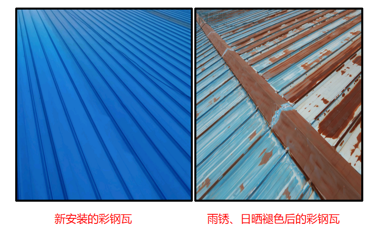 彩钢瓦.jpg