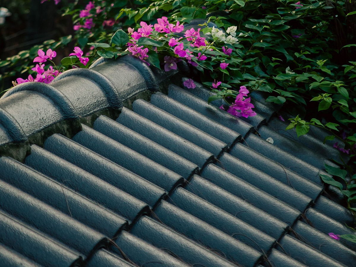水泥瓦